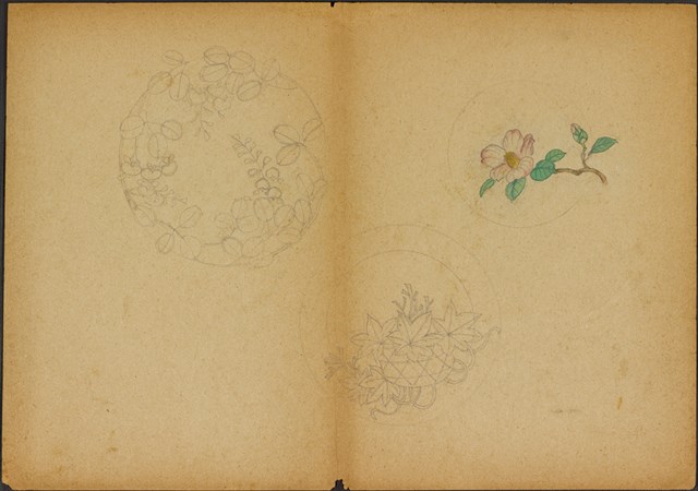 雙面繪設計草圖－槐花、南天竹和鶴